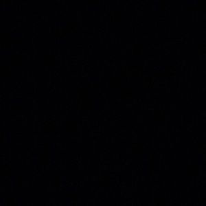 Meet your Posher, Jayne